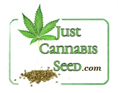 Grow Bibles, Medical Effects of Cannabis, ect