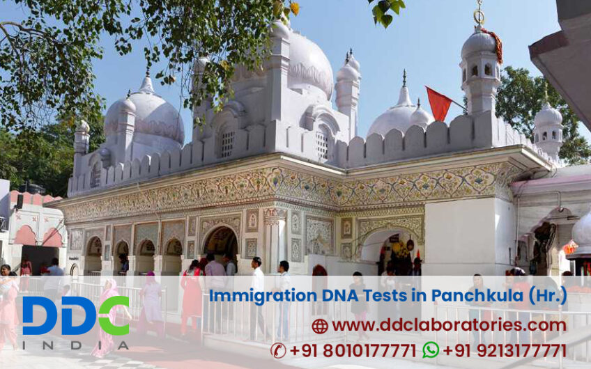 Get the Best DNA Tests in Panchkula for Immigration