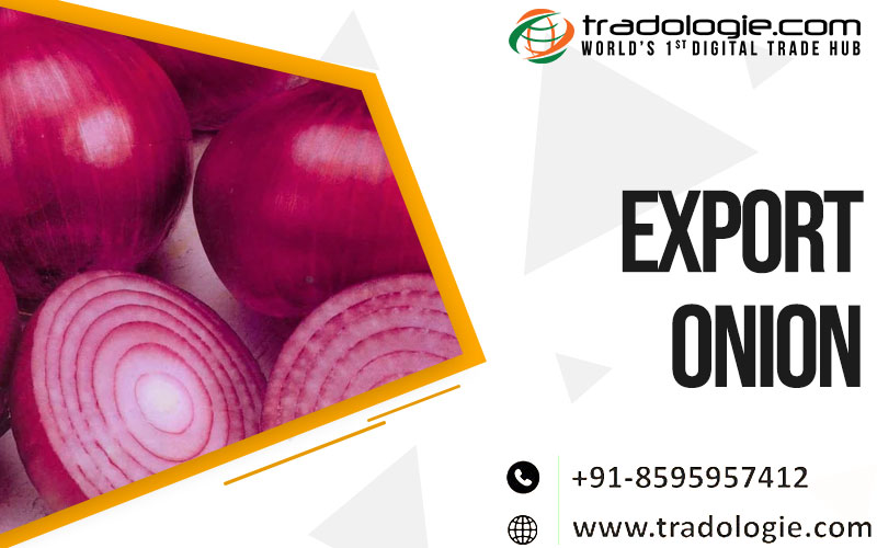 Export Onion