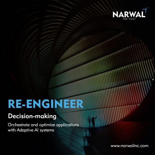 Big Data Analytics Company – Narwal