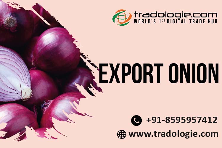 Export Red Onion