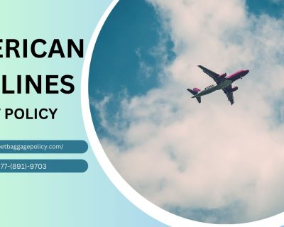 American Airlines Pet Policy Guidelines